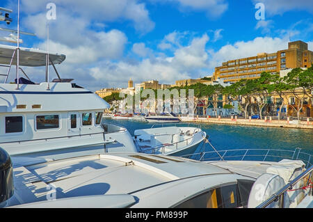 The yachts in marina of Valletta are perfect place to observe small towns on seashores, such as Ta'Xbiex with green pines along the seaside promenade, Stock Photo