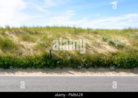 The sand dune between the du Guesclin beach and the seaside road, covered with wild grasses and protected by a wire fence with wooden posts. Stock Photo