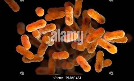 A 3D computer-generated image of a group of aerobic, Gram-negative, Bordetella pertussis bacteria. Stock Photo