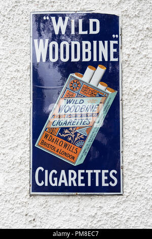 woodbine cigarettes enamel advertising sign staverton wall alamy wills railway