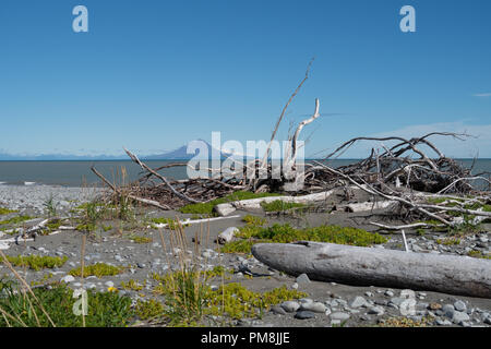 Augustine Island, an active volcano as seen from a beach covered in rocks and driftwood in Katmai National Park Stock Photo