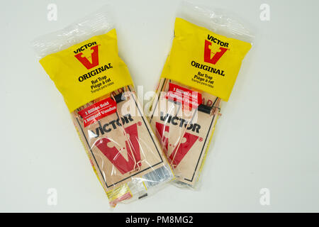 https://l450v.alamy.com/450v/pm8mg2/victor-brand-rat-traps-in-original-packaging-isolated-on-white-background-pm8mg2.jpg