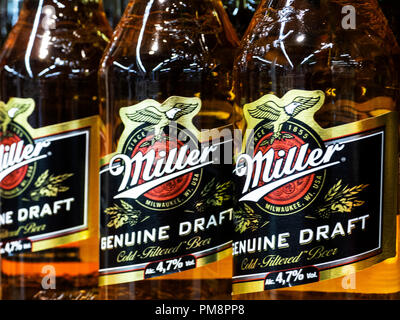 Miller Genuine Draft seen in store. Stock Photo