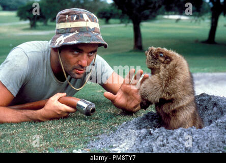 Studio Publicity Still from 'Caddyshack' Bill Murray © 1980 Orion  All Rights Reserved   File Reference # 31715298THA  For Editorial Use Only Stock Photo