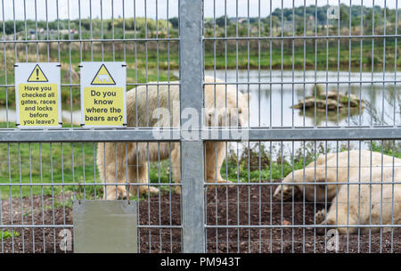 A safety warning sign reminding staff to check the security of the Polar bears at the Yorkshire Wildlife Park, Doncaster, Uk. Stock Photo
