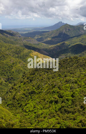 View of the Black River Gorges National, Park, Mauritius Stock Photo