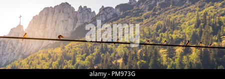 Image of birds sitting on a power line with sunset and mountainlandscape in the background Stock Photo