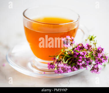 Cup of thyme tea with thyme plant, healthy herbal medicinal tea Stock Photo