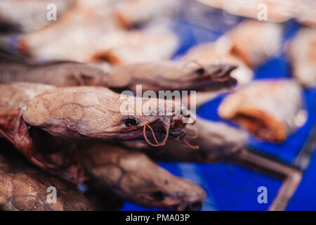 Smoked fish in the marke. catfish Kipper. Stock Photo