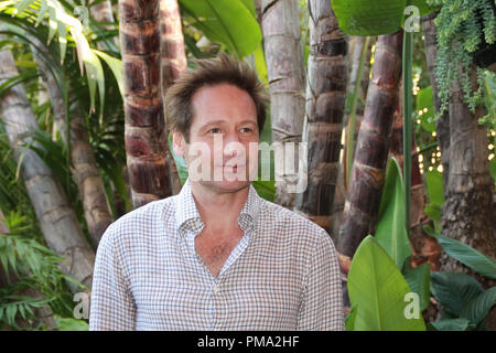 David Duchovny 'Phantom' Portrait Session, February 26, 2013. Reproduction by American tabloids is absolutely forbidden. File Reference # 31875 017JRC  For Editorial Use Only -  All Rights Reserved Stock Photo