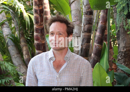 David Duchovny 'Phantom' Portrait Session, February 26, 2013. Reproduction by American tabloids is absolutely forbidden. File Reference # 31875 018JRC  For Editorial Use Only -  All Rights Reserved Stock Photo