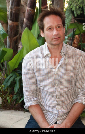 David Duchovny 'Phantom' Portrait Session, February 26, 2013. Reproduction by American tabloids is absolutely forbidden. File Reference # 31875 027JRC  For Editorial Use Only -  All Rights Reserved Stock Photo