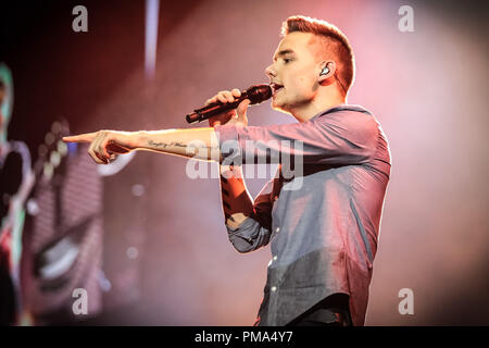 Liam Paynew in TriStar Pictures' One Direction: This Is Us. Stock Photo