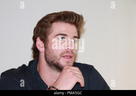Liam Hemsworth 'The Hunger Games: Catching Fire' Portrait Session, November 8, 2013. Reproduction by American tabloids is absolutely forbidden. File Reference # 32186 087JRC  For Editorial Use Only -  All Rights Reserved Stock Photo
