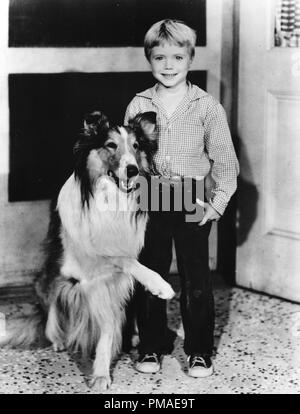 Jon provost best sale from lassie