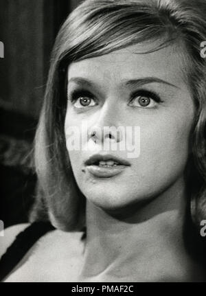 Anne Francis, circa 1963 © JRC /The Hollywood Archive - All Rights