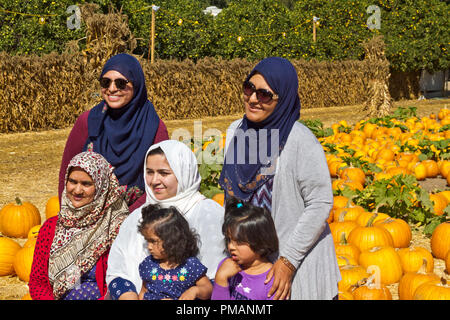 Muslim  women and girls posing in pumpkin patch. Stock Photo