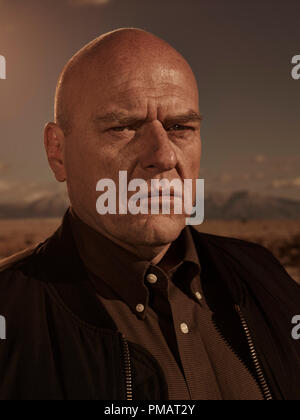 Dean Norris headshot (Breaking Bad Season 4 - Hank Schrader) - 8 inch x10  inch PHOTOGRAPH Performer & Actor Color PHOTOGRAPH-CJ at 's  Entertainment Collectibles Store