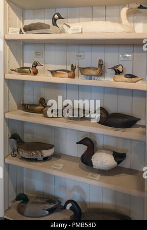 Atlantic Wildfowl Heritage Museum Virginia Beach Stock Photo