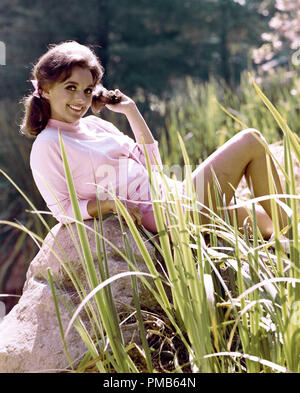 Dawn Wells, "Gilligan's Island" (1965) File Reference # 33536 788THA