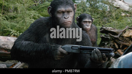 DAWN OF THE PLANET OF THE APES Caesar (Andy Serkis) is the leader of the ape nation in DAWN OF THE PLANET OF THE APES. Stock Photo