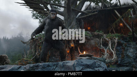 DAWN OF THE PLANET OF THE APES Caesar (Andy Serkis) is the leader of the ape nation in DAWN OF THE PLANET OF THE APES. Stock Photo