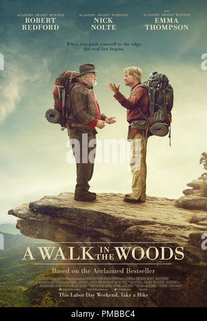 'A Walk in the Woods' (2015) Poster Stock Photo