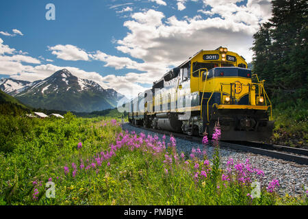 Alaska Railroad Glacier Discovery train trip,  Chugach National Forest, Alaska. Stock Photo