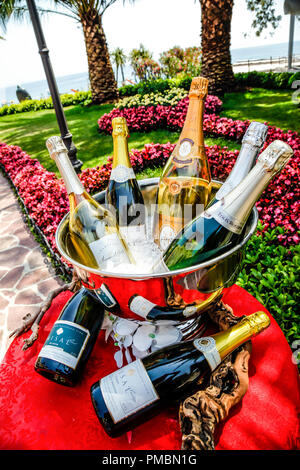 Beautiful gardens on the grounds of the Amadria Park Hotel Sveti Jakov, displaying Champagne bottles in an ice bucket in Opatija, Croatia Stock Photo