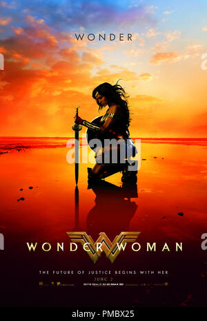 Wonder Woman 2017 Wonder Movie Poster