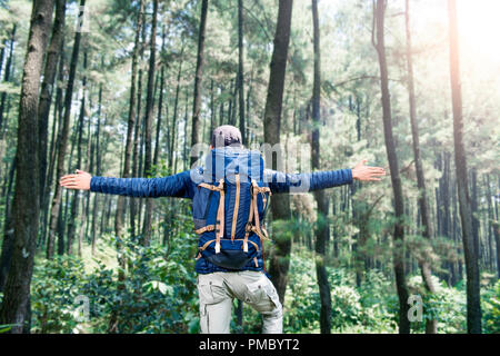Rear view of asian tourist man with raised hands in the forest Stock Photo