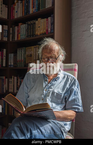 Senior man, seated, reading a book by window light in a bookshop. Stock Photo