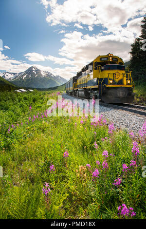 Alaska Railroad Glacier Discovery train trip,  Chugach National Forest, Alaska. Stock Photo