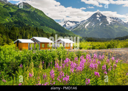 Alaska Railroad Glacier Discovery train trip,  Chugach National Forest, Alaska. Stock Photo