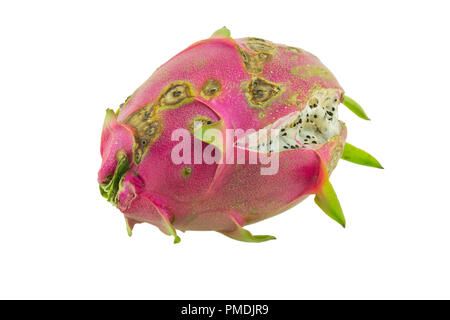 Rotten dragon fruit isolated on white background Stock Photo