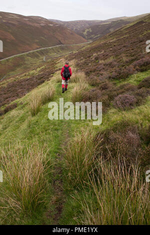 Walking along an ancient path track, Dempster Road, from Mennock to Wanlockhead. Looking down into Mennock Pass from the side of Glenauchtree Head Stock Photo