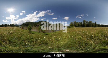 360 degree panoramic view of Сamomile field near Turochak along the Biya river. Altay mountains