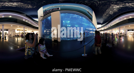 360 degree panoramic view of Dubai Mall Aquarium & Underwater Zoo
