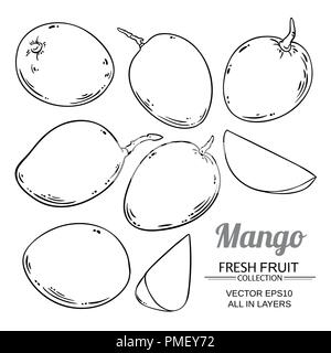 mango fruit vector isolated on white background Stock Vector