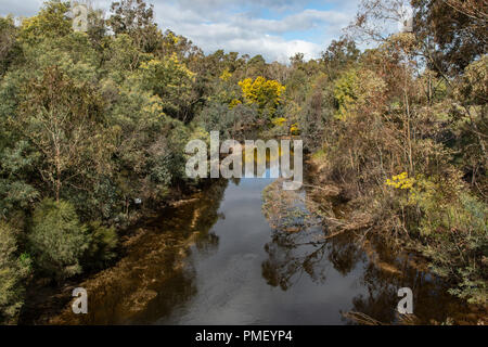 Collie River, Collie, WA, Australia Stock Photo - Alamy