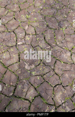 Cracked earth in Derwent reservoir, Derbyshire after the summer drought of 2018. Stock Photo