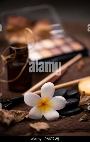 spa setting wirh make up on towel Stock Photo