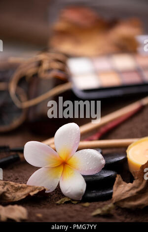 spa setting wirh make up on towel Stock Photo