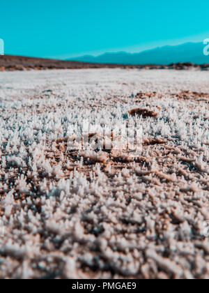 Salt is heaping up from the soil on a sunny day in the hart of dead valley Stock Photo