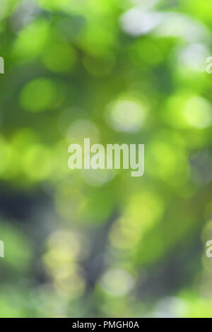 vertical, green bokeh background , ideal for text overlay posters and copy space for Christmas Stock Photo