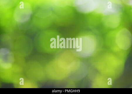 green bokeh background , ideal for text overlay posters and copy space for Christmas Stock Photo