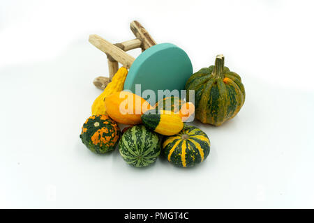 various types of decorative pumpkins are decorative around a chair Studio shot on white background Stock Photo