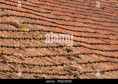 Sagging rustic French roof tiles, full frame construction background texture Stock Photo