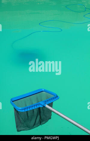 Swimming pool maintenance - a pool skimmer net waits above a green cloudy pool Stock Photo