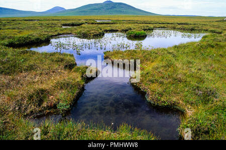 The Flow Country, world’s last wild places, Highlands, Scotland, UK, GB. Stock Photo